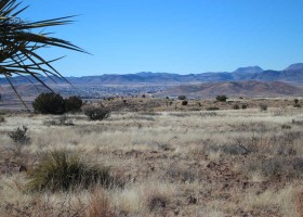 Tract-77-adjoining-ranch-A